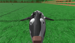 Crazy Cattle 3D+