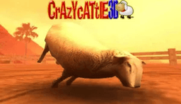 Crazy Cattle 3D